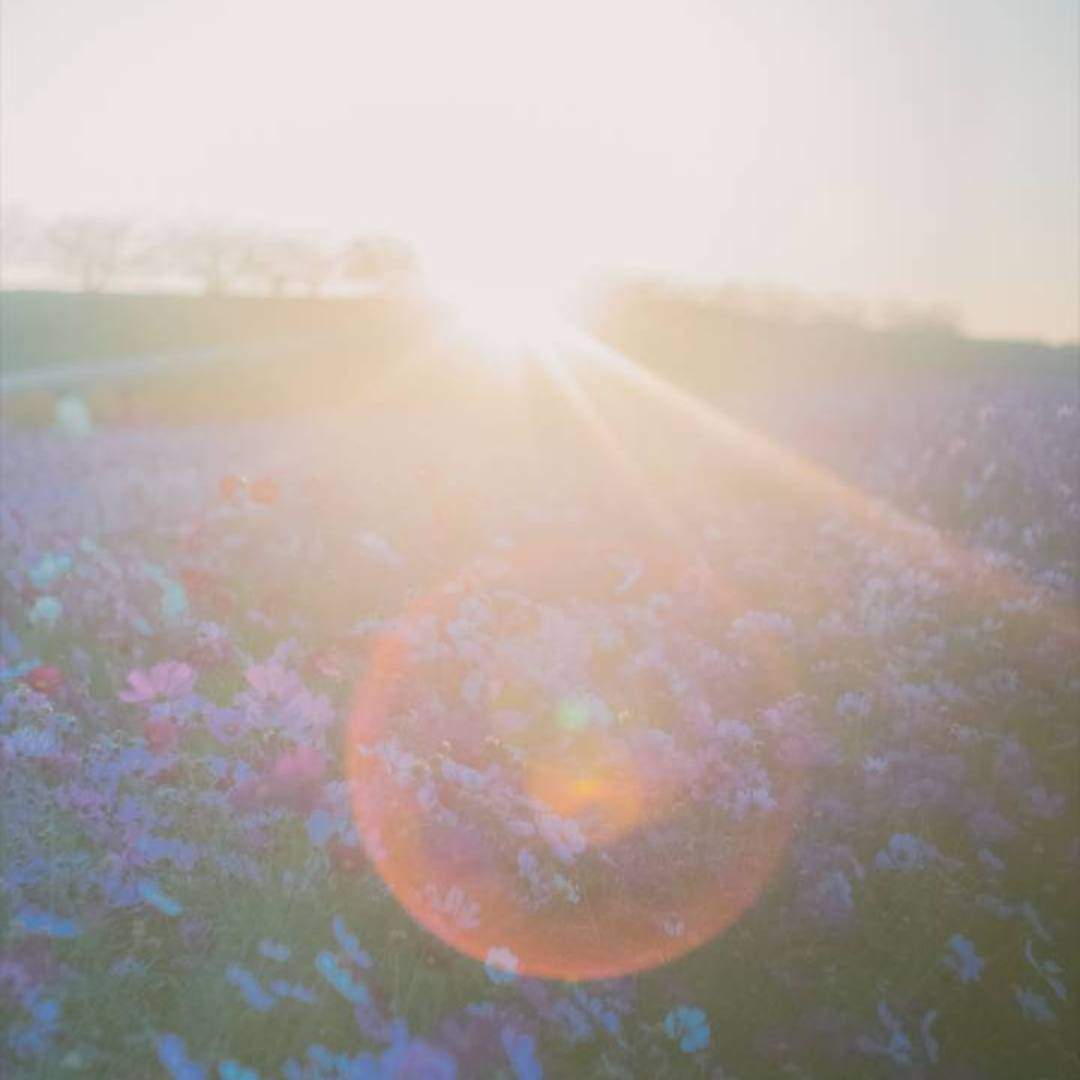 コスモスアリーナふきあげ