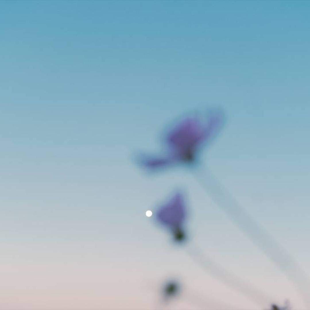 コスモスアリーナふきあげ