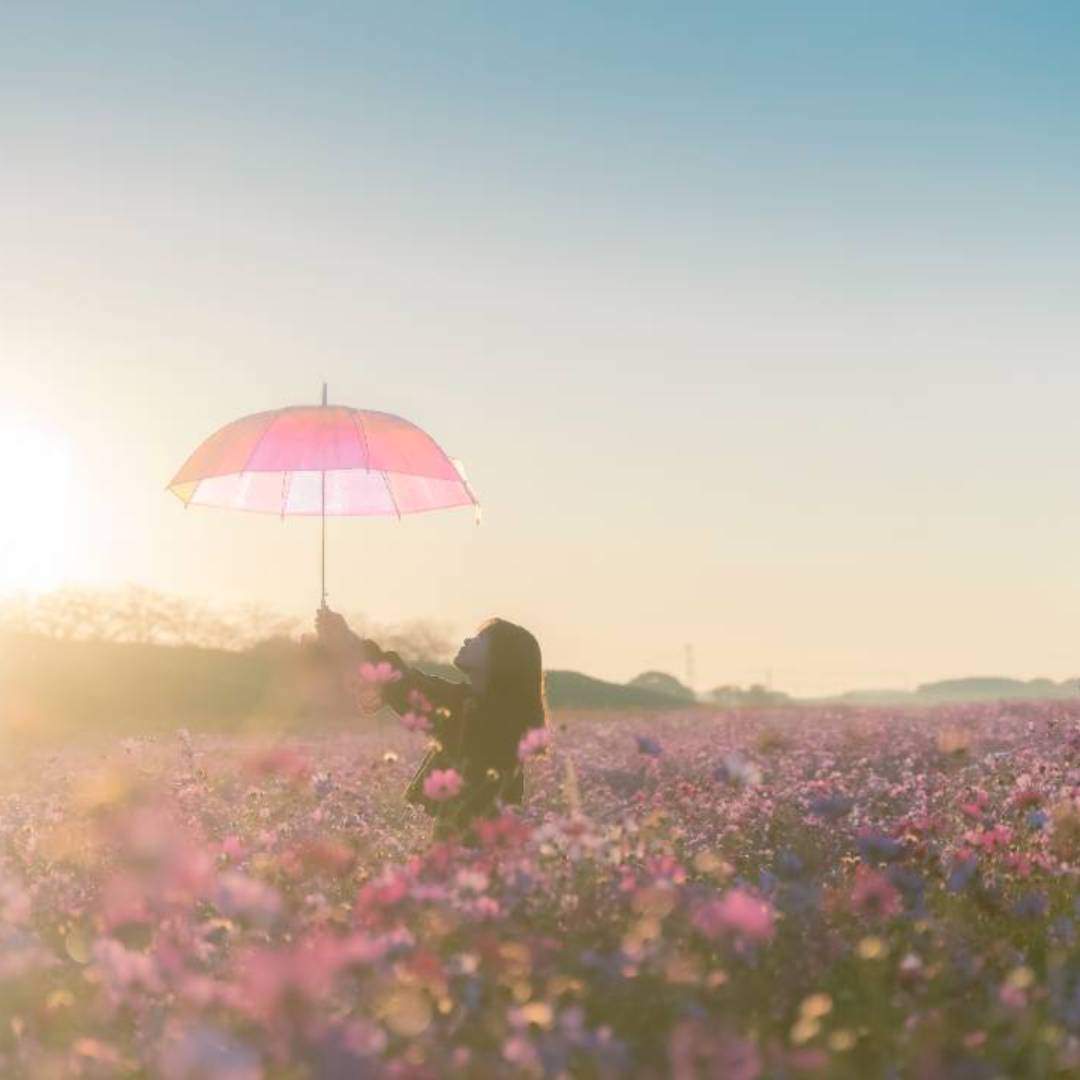 コスモスアリーナふきあげ