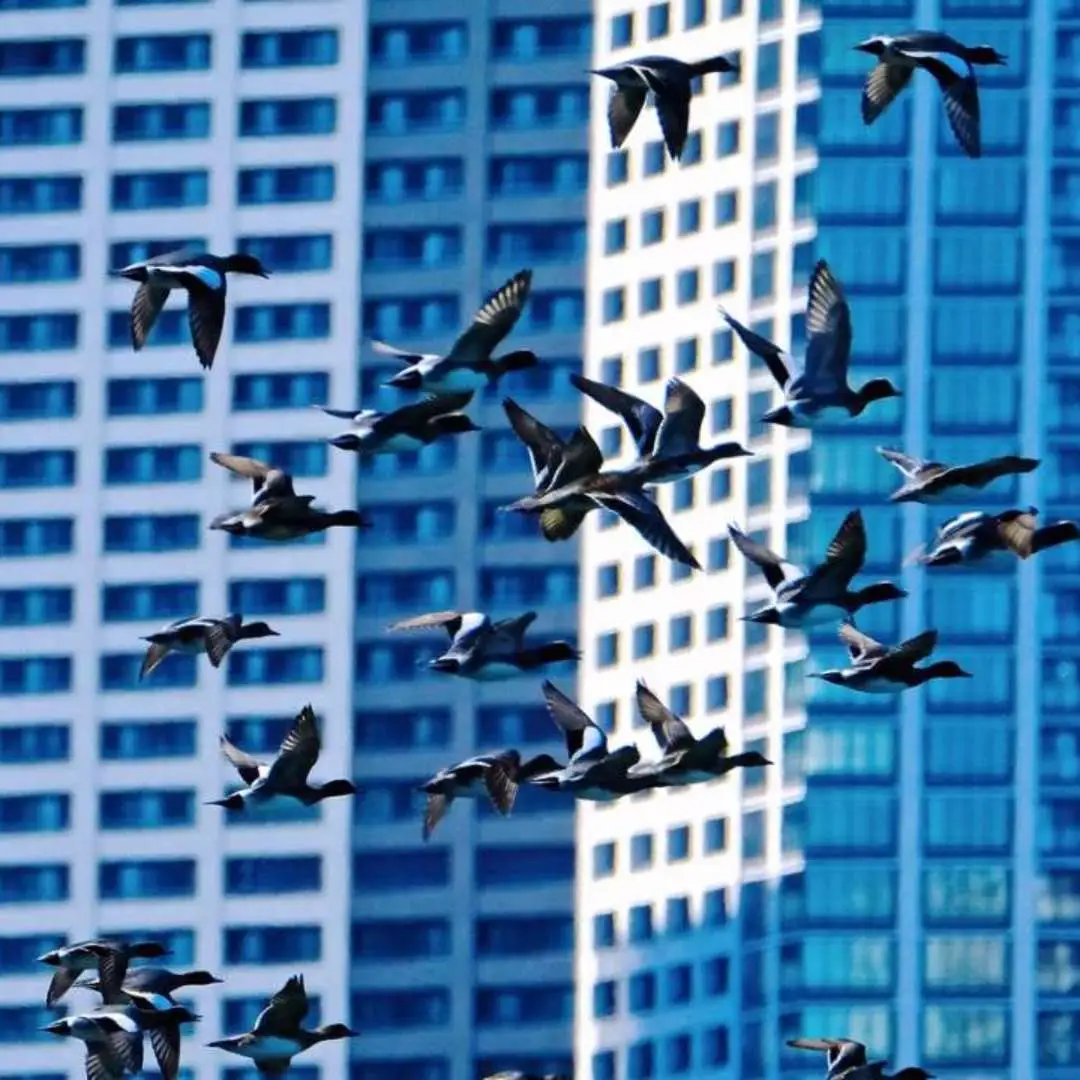 Nihonbashi is a city where the charm of old Tokyo blends with modern architecture. It is the starting point of the Five Main Roads and continues to serve as a reference point for measuring distances.