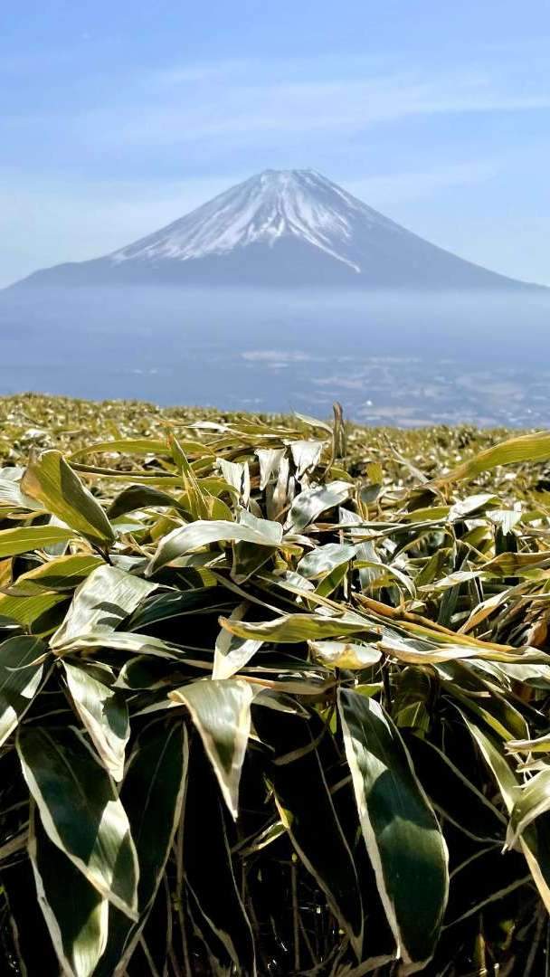 This mountain is located on the border between Shizuoka Prefecture and Yamanashi Prefecture, in an area called the Kenu Mountain Range. From a distance, it appears blue and beautiful, especially when viewed alongside the neighboring Ryugatake. The summit is covered with grass, providing an unobstructed view of Mount Fuji from the peak.