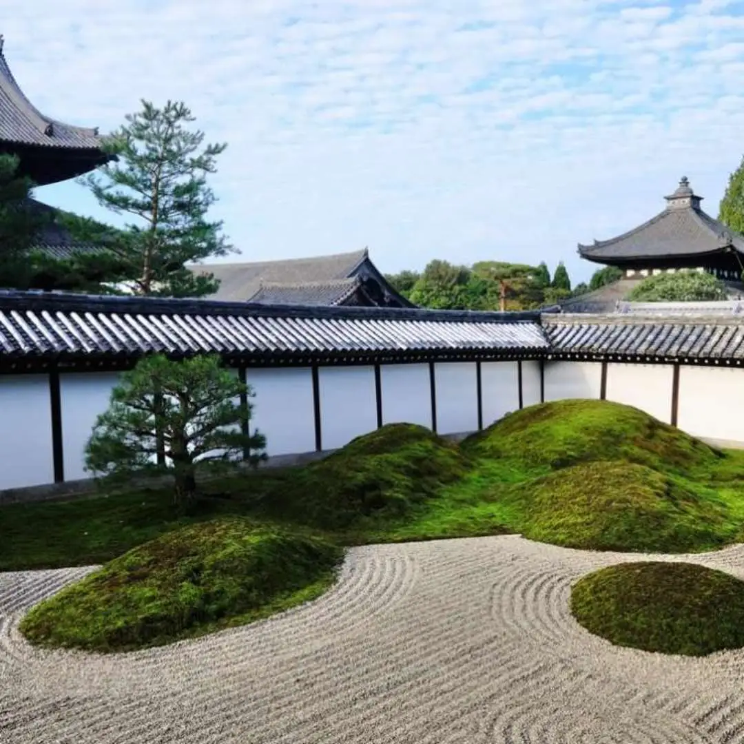 The Hōjō garden was created by Mirei Shigemori during the Shōwa era and consists of four gardens that represent the directions: north, south, east, and west.

- **South Garden**: A stone garden that represents the vast ocean, with rock arrangements symbolizing islands.
- **North Garden**: Features a modern design characterized by a checkerboard pattern created with moss and paving stones.
- **West Garden**: Known for its unique tortoiseshell pattern made from moss, it exudes a serene atmosphere.
- **East Garden**: A garden with a Shichi-Go-San pattern, marked by impressively neat and beautiful lines.