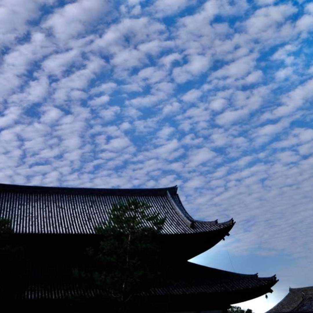1. Sanmon (Triple Gate)  
The oldest and one of the largest Sanmon (Important Cultural Property) in Japan, it is a representative architectural structure of the Zen style built during the Muromachi period. Inside the upper chamber, statues of Shakyamuni and Buddhist paintings are enshrined. Although it is rarely opened to the public, its majestic presence is striking.

2. Hondo (Main Hall)  
The Hondo of Tofuku-ji is located at the center of the temple grounds and features a tiled roof, which is uncommon for Zen temples. Inside the Main Hall, a statue of Shakyamuni Buddha is enshrined.