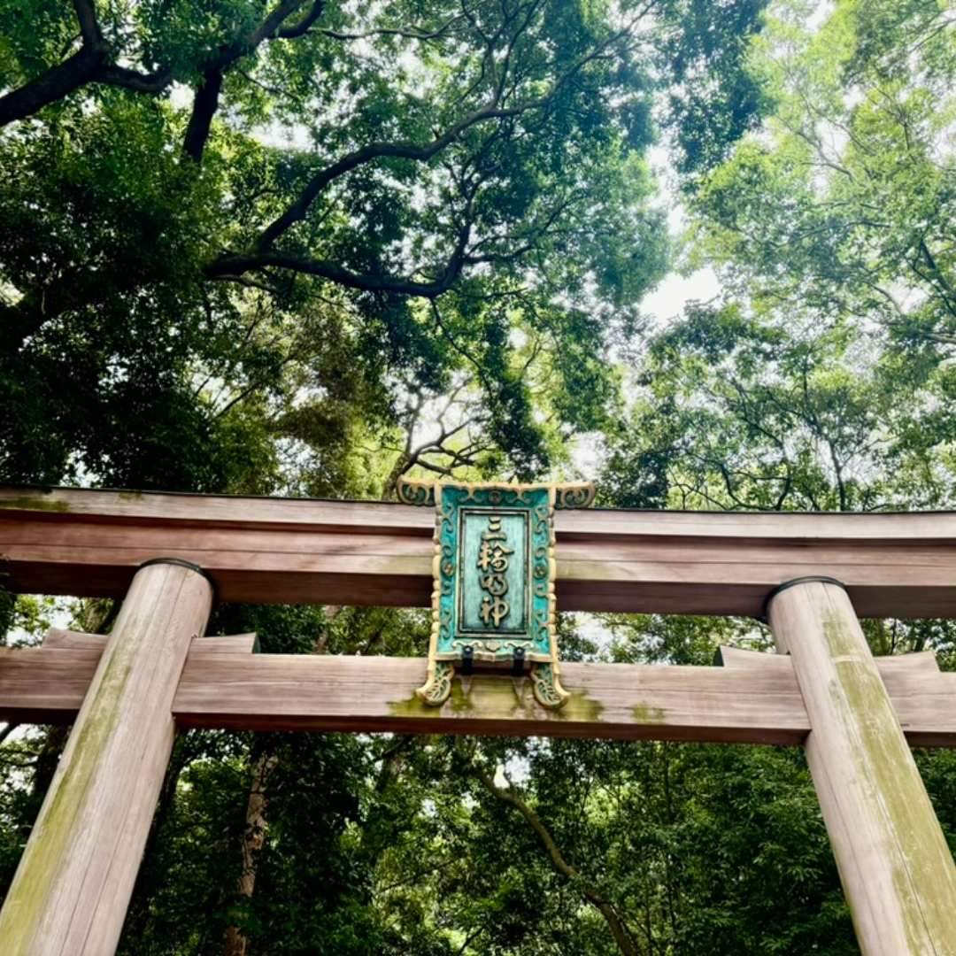 Mount Miwa is a particularly well-shaped conical mountain among the Aogaki Mountains surrounding the Nara Basin. Since ancient times, it has been revered as a sacred mountain where the great deity Ōmononushi dwells. In texts such as the "Chronicles of Japan" and the "Records of Ancient Matters," it is referred to as Mimoroyama, Miwayama, and Mimorodake. Standing at a height of 467 meters, with a circumference of 16 kilometers and an area of 350 hectares, this mountain is covered with large trees such as pine, cedar, and cypress, and is esteemed as a place where the divine resides in every single tree and blade of grass.