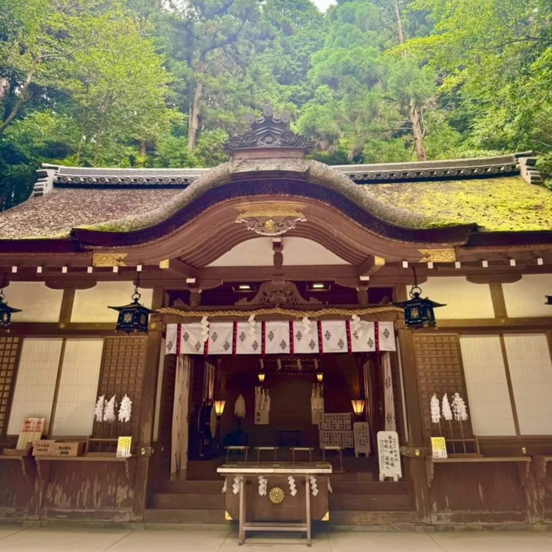 Mt. Miwa is a remarkably well-formed cone-shaped mountain among the Aogaki Mountains surrounding the Nara Basin. Since ancient times, it has been revered as the sacred mountain where the great deity Omononushi resides. In the "Record of Ancient Matters" (Kojiki) and the "Chronicles of Japan" (Nihon Shoki), it is referred to as Mimoroyama, Miwayama, and Mimorodake. Standing at a height of 467 meters with a circumference of 16 kilometers and covering an area of 350 hectares, this mountain is cloaked in tall trees such as pine, cedar, and cypress, and is respected as a dwelling place for the divine in every tree and blade of grass.