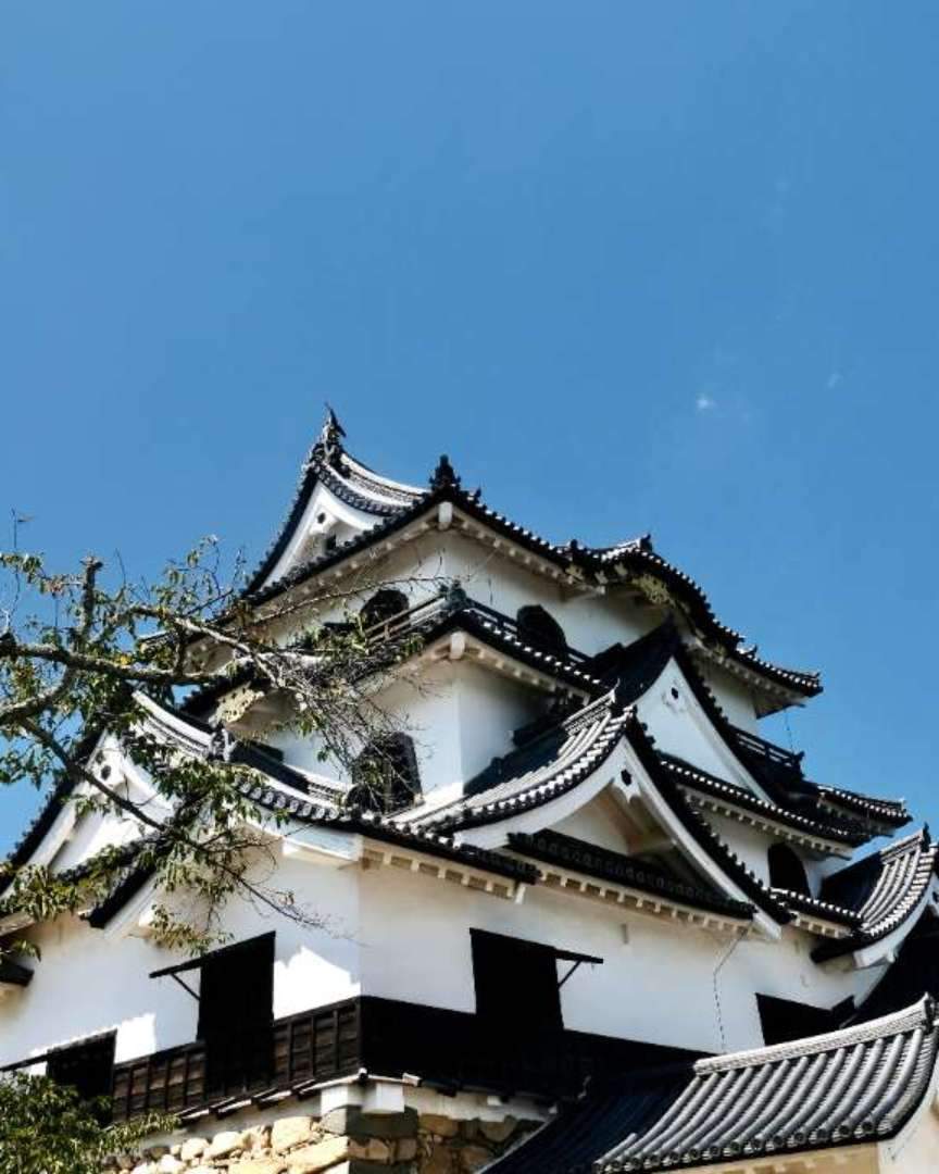大津城から移築されたといわれ、政治的象徴としての外観の美しさだけでなく、城本来の機能である軍事面でも優れています。昭和27年（1952年）に国宝に指定。
彦根城以外の国宝天守は、姫路城・松本城・犬山城・松江城だけです。