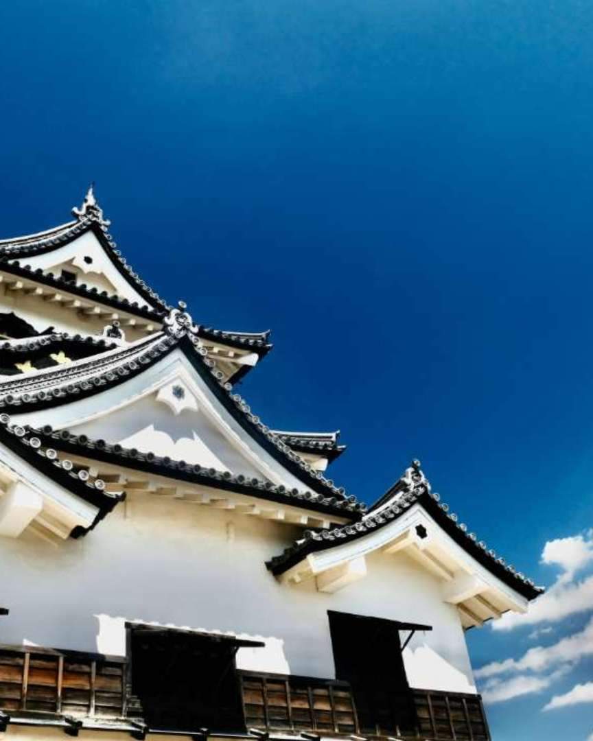 城の形式は連郭式平山城。本丸、二の丸、三の丸と北側に山崎曲輪が配置された。御殿は二の丸に置かれた。本丸に天守、西の丸と山崎曲輪に三重櫓が建てられた。山崎曲輪三重櫓は明治初期に破却された。なお、城の北側には玄宮園と楽々園という大名庭園が配されており、これらは「玄宮楽々園」として国の名勝に指定されている。玄宮園、楽々園はかつて松原内湖（戦中・戦後に干拓）に面しており、入江内湖も望める絶景であった。