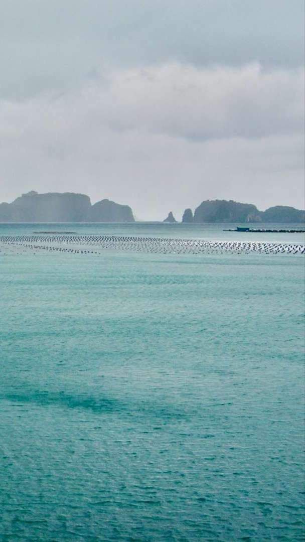 從串本出發，朝大島的方向，海中約850米的地方，矗立著四十多個大小不一的岩柱，形成了一列壯觀的景象。

由於這些岩柱的規則排列與橋樑的柱子相似，因此有了這樣的名稱。

隨著海水的侵蝕，只有岩石的堅硬部分被保留下來，彷彿僅有橋墩獨自矗立於水中。這些奇特的岩石還流傳著一個傳說：傳說曾經有位弘法大師與天邪鬼打賭，在一夜之間搭建起一座橋。