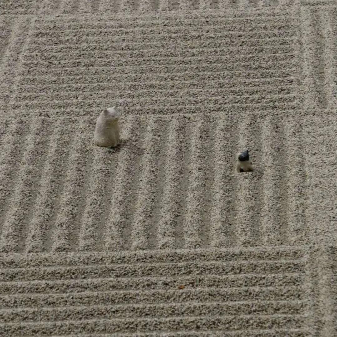 Particularly, Shogo-in is the only temple designated as a historic site of a "temporary imperial residence," as it served as the place of residence for Emperor Kōkaku for about three years after he escaped the Great Fire of Tenmei during the Edo period. Within the temple, numerous valuable kanpeki shōhekiga (gold and brilliant screen paintings) depicting flowers, birds, wise figures, and magnificent nature remain, allowing visitors to experience the beauty of Kyoto culture.