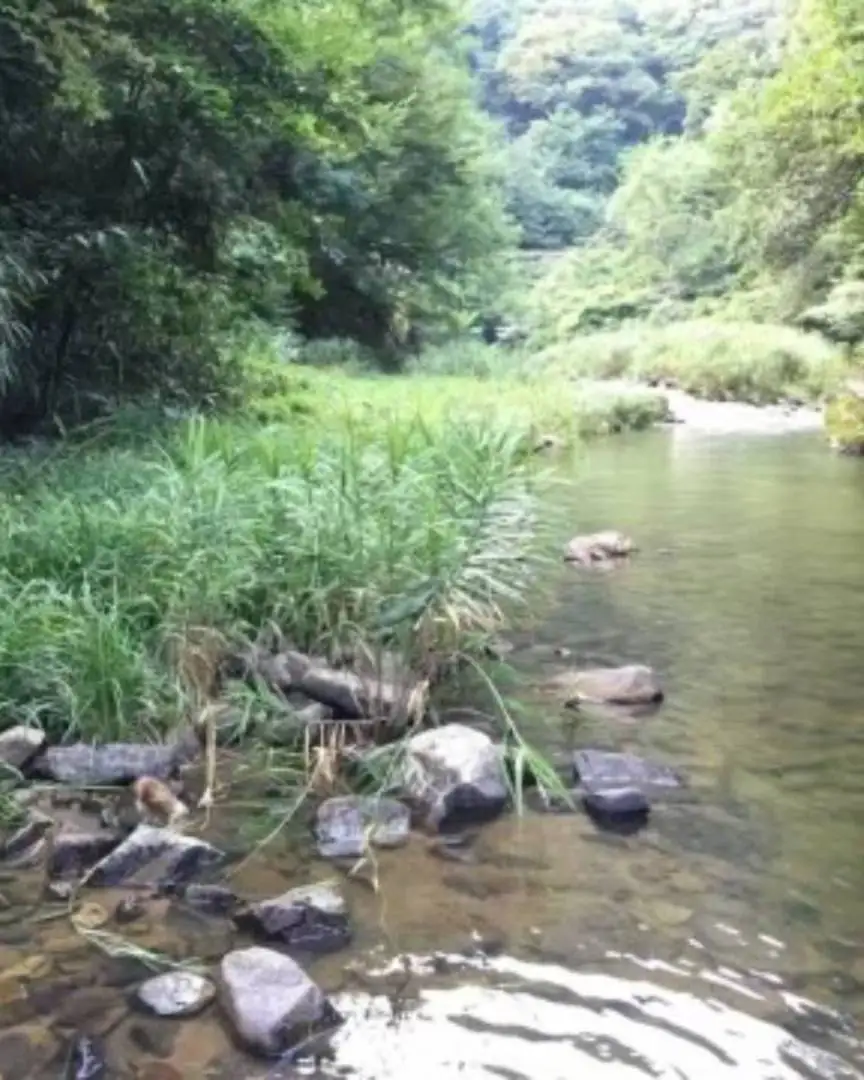 The Takeda River is a local presence that symbolizes the climate and culture of Maruoka Town.