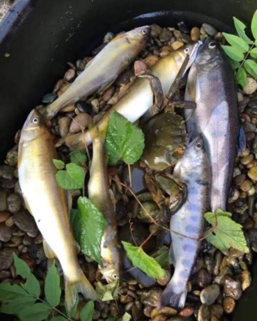 Around the Takeda River, local festivals and events are held, making it a beloved spot for both local residents and tourists. In particular, many visitors come to stroll and picnic, enjoying the natural beauty and scenery of the Takeda River.