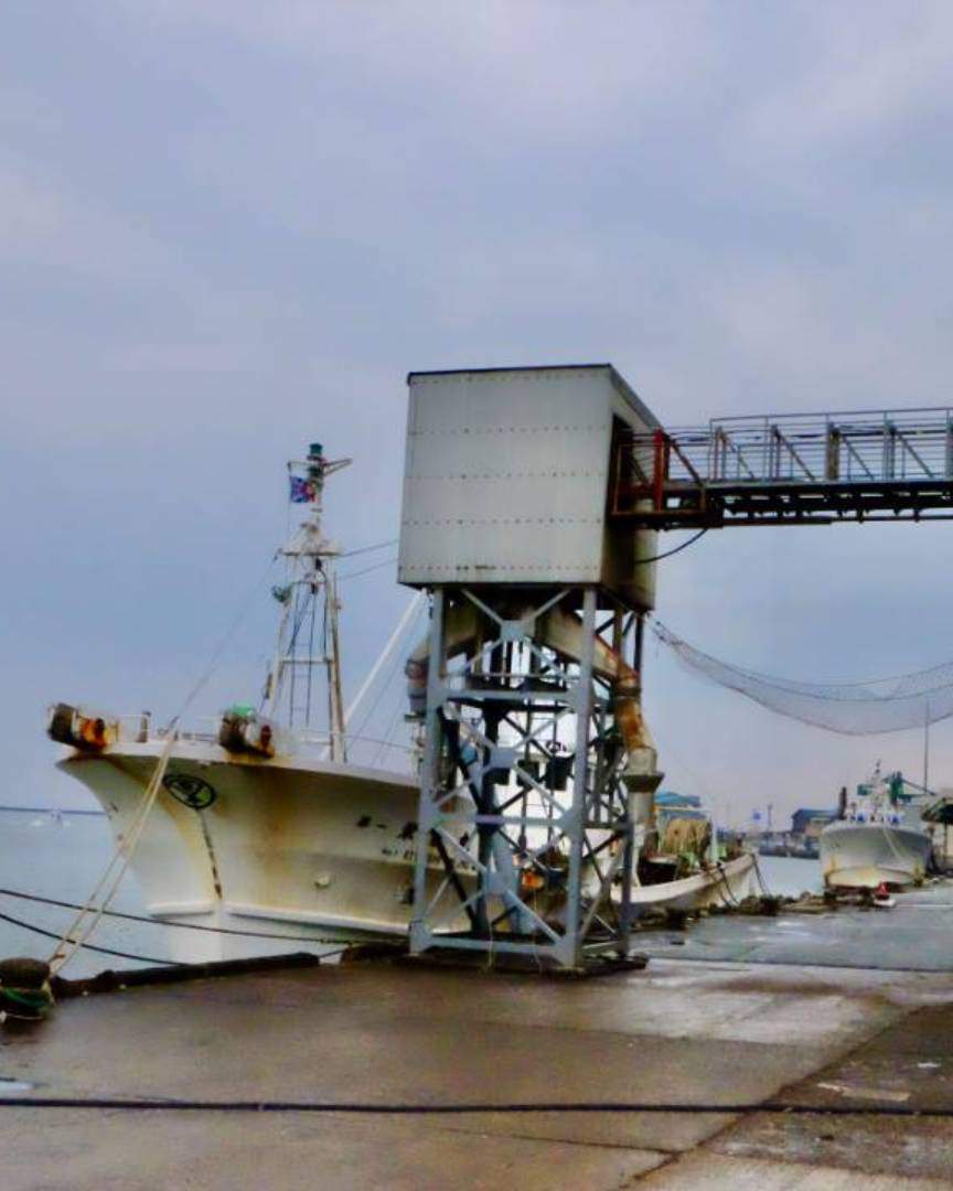 Der Mikuni-Hafen ist ein Hafen, der seit der Edo-Zeit floriert und insbesondere als wichtiger Anlaufpunkt für die Kitamaebune (Nordwegschiffe) eine bedeutende Rolle spielte. Diese Handels- und Frachtschiffe operierten von der Edo-Zeit bis zur Meiji-Zeit und verbanden die Küste des Japanischen Meeres, um Waren zu transportieren; der Mikuni-Hafen war einer der wichtigsten Häfen in diesem Zusammenhang. 
•	Als Basis für viele Händler diente dieser Hafen dem Handel mit verschiedenen Regionen Japans, wobei insbesondere Reis, Sake, Meeresfrüchte und andere maritime Produkte rege gehandelt wurden.