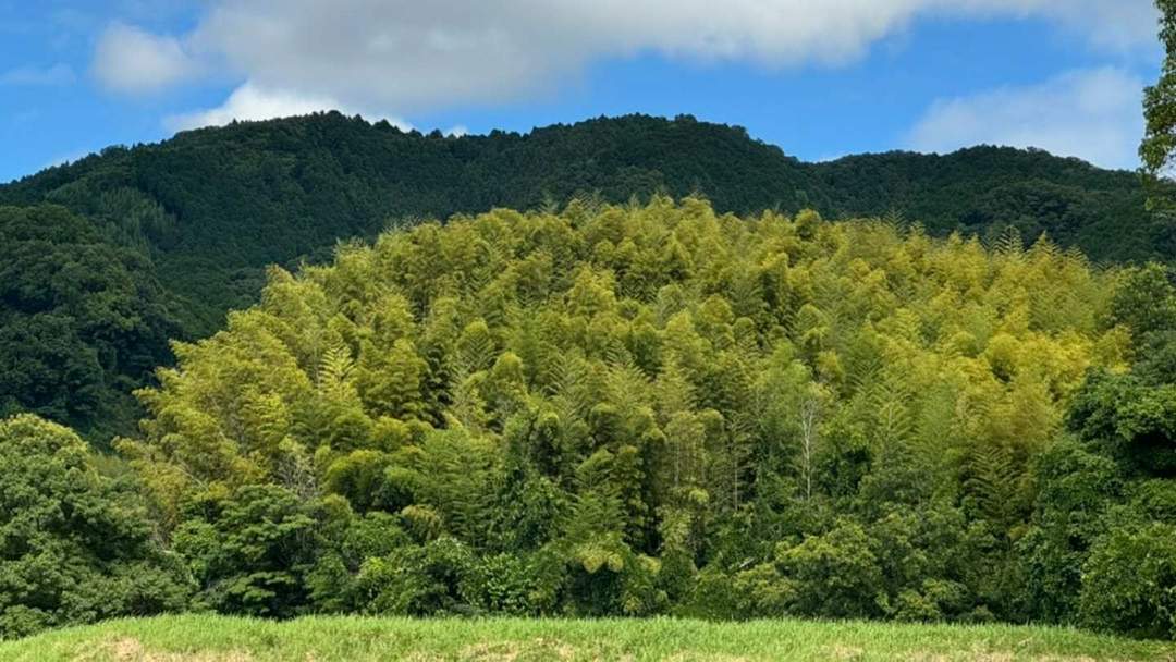 The Nara Basin, surrounded by low hills. In ancient times, there was a road that wound through the beautiful blue ridges of the mountains to the east, starting from the foot of Mount Miwa, passing through Ishigami Furu, and leading to Nara.